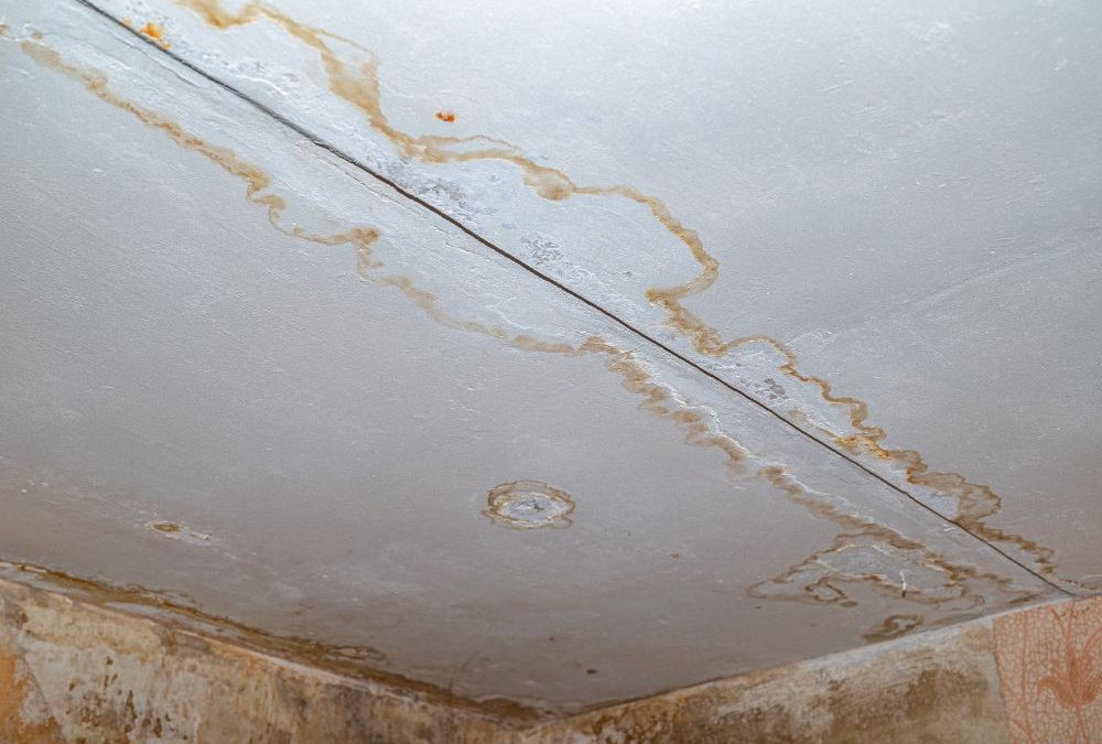 The Problem With Polybutylene Pipes in Florida