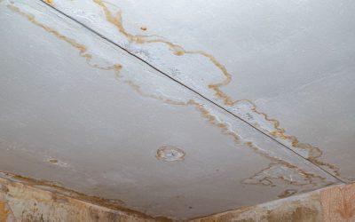 The Problem With Polybutylene Pipes in Florida