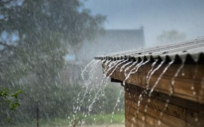 Rainy Season Plumbing Tips: Protect Your Florida Home