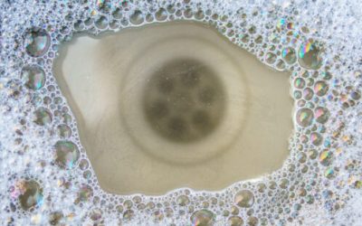 Preventing Summer Drain Disasters: Expert Tips for Southwest Florida Homes