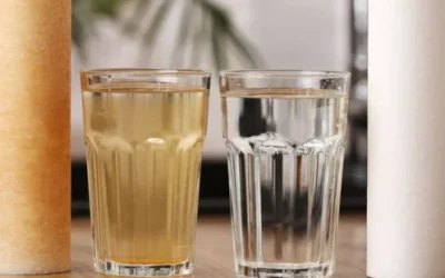 Water Filters and Softeners: Your Guide to Whole Home Filtration
