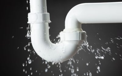 From Overflow to Under Control With Reliable Emergency Plumbing