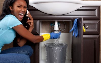 The Hidden Dangers of Neglecting Plumbing Repairs in Fort Myers