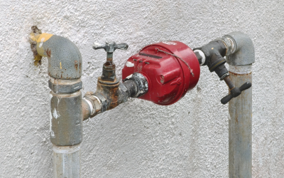 How Our Spartan Shield Membership Saves You Money on Plumbing Repairs in Fort Myers